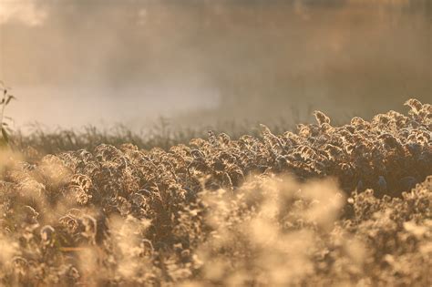 Más de 3 000 imágenes gratis de Febrero y Naturaleza